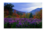 Fall Meadow at Twilight Photographic Print by George Oze