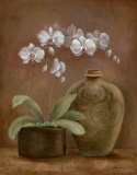 Orchid Antiquity I Prints by Jane Tava