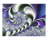 Fan Spiral Lámina fotográfica por Vicky Brago-Mitchell Fan Spiral Lámina fotográfica por Vicky Brago-Mitchell