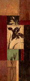 Iris Shadow Kunstdrucke von Maria Donovan