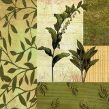Botanical Leaves II Prints by Marilu Windvand