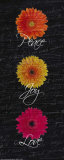 Gerbers on Black: Peace, Love, Joy Prints by Jessica Vonammon