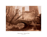 Reflections, Central Park Posters by Sergei Beliakov