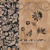 Wildflower III Posters by Carol Robinson