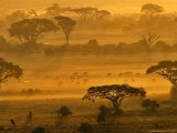 Herbivores at Sunrise, Amboseli Wildlife Reserve, Kenya Photographie par Vadim Ghirda