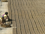 India International Women's Day, Jammu Photographic Print by Channi Anand
