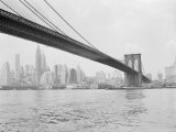 Brooklyn Bridge and Lower Manhattan, New York, New York Photographic Print by Tony Camerano
