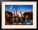 Swans Reflecting Elephants, c.1937 Prints by Salvador Dalí