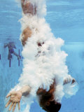 AT&T USA Diving Grand Prix, Fort Lauderdale, Florida Photographic Print by J. Pat Carter