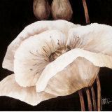 Amazing Poppies I Prints by Jettie Roseboom