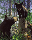 Stump Jumper Posters par Bruce Miller