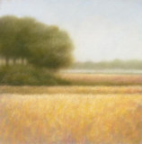 Wheat Field Poster by Hans Dolieslager