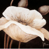 Amazing Poppies II Affiches par Jettie Roseboom