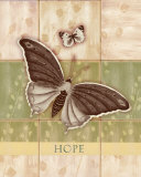 Espoir Affiches par Krissi 