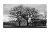 Single Country House Art by Harold Silverman