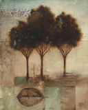 Natural Light I Art by Lisa Audit