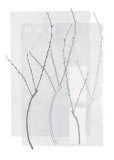 Spring Awakening II Pôsters por Verbeek & Van Den Broek Spring Awakening II Pôsters por Verbeek & Van Den Broek