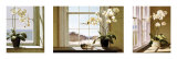 Orchid Tryptych Posters af Zhen-Huan Lu