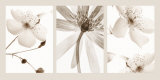 Sepia Floral - Tablo Sepia Floral - Tablo