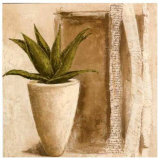 Aloe Poster by Véronique Didier-Laurent Aloe Poster by Véronique Didier-Laurent
