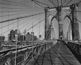 Across Brooklyn Bridge Prints by Trefor Ball
