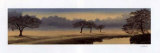 A Perfect Morning I Prints by Isabel Martinez