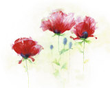 Red Poppies II Pósters por Andrea Fontana