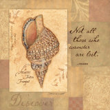 Stephanie Marrott - Discover, Shell Obrazy Stephanie Marrott - Discover, Shell Obrazy