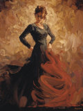 Flamenco II Art par Mark Spain