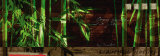 Bamboo Lounge Prints by Joadoor 