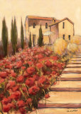 Villa San Martino Posters by Mauro Cellini