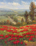 Poppy Vista II Art by Hulsey 