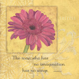 Success, Gerber Prints by Stephanie Marrott