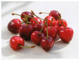 Morello Cherries II Posters by Sara Deluca