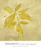 Leaf Fresco IV Art by David Dauncey