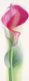 Pink Calla III Arte por Annemarie Peter-jaumann