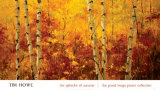 The Splendor of Autumn Print by Tim Howe