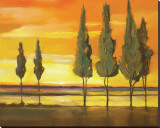 Sunset at Water's Edge Stretched Canvas Print by Judith D'Agostino Sunset at Water's Edge Stretched Canvas Print by Judith D'Agostino