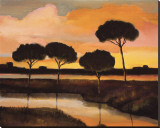 Sunset over the Arno River Stretched Canvas Print by Judith D'Agostino Sunset over the Arno River Stretched Canvas Print by Judith D'Agostino