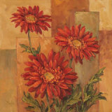 Daisies Terra Cotta Juliste tekijänä Barbara Mock Daisies Terra Cotta Juliste tekijänä Barbara Mock