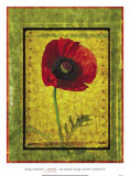 Poppy Art by Doug Landreth Poppy Art by Doug Landreth