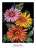 Midnight Bloom III Prints by Susan Jeschke