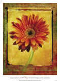 Gerber Daisy Posters by Doug Landreth