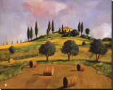 Tuscan Hillside Stretched Canvas Print by Judith D'Agostino Tuscan Hillside Stretched Canvas Print by Judith D'Agostino