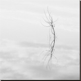 Twig Hyatt Lake Reproducción en lienzo de la lámina por Shane Settle