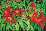 Just Lilies Stretched Canvas Print by Pamela Jablonski