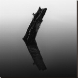 Stump in Hyatt Lake Stretched Canvas Print by Shane Settle Stump in Hyatt Lake Stretched Canvas Print by Shane Settle
