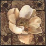 White Peony I Stretched Canvas Print by Louise Montillio White Peony I Stretched Canvas Print by Louise Montillio