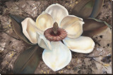 Magnolia I Stretched Canvas Print by Louise Montillio Magnolia I Stretched Canvas Print by Louise Montillio