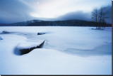 Lake of Woods Boat in Snow Stretched Canvas Print by Shane Settle Lake of Woods Boat in Snow Stretched Canvas Print by Shane Settle